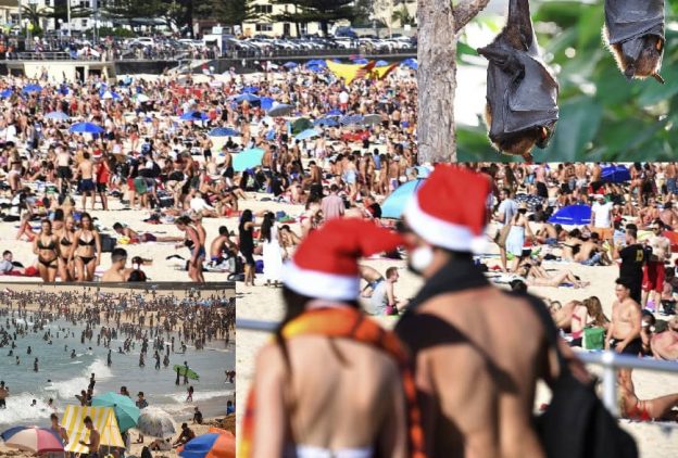 австралийская жара в 49 градусов бьет все рекорды