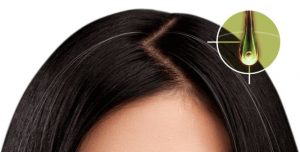 Все, что вы должны знать о седых волосах