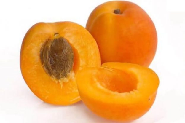 Польза и вред абрикосов
