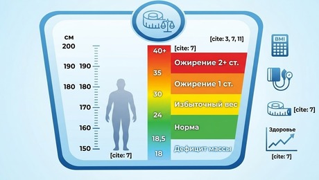 индекс массы тела